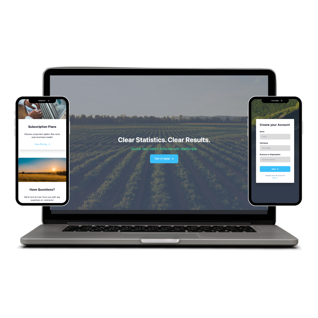 Screenshot of the Stat-Simple project by Babbage LLC - a Nuxt, Express, Postgres, DigitalOcean solution