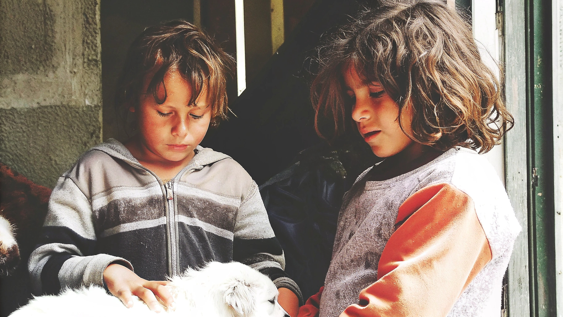 Children with lamb