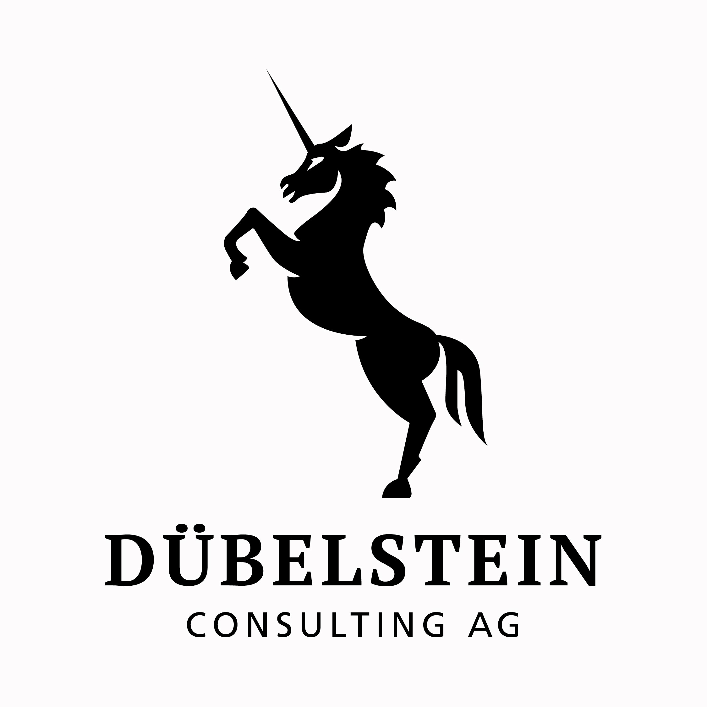 Dübelstein