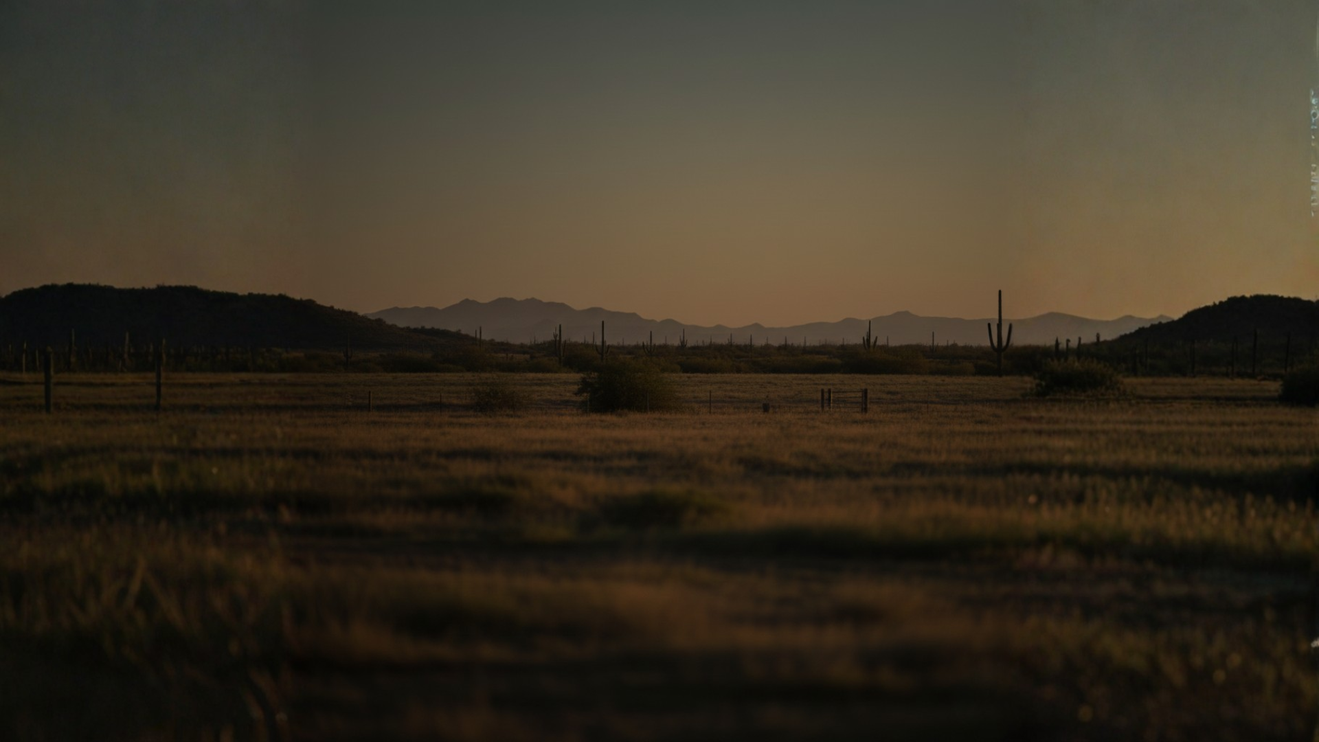 Luxury northern Mexican Sonoran ranch landscape at golden sunset