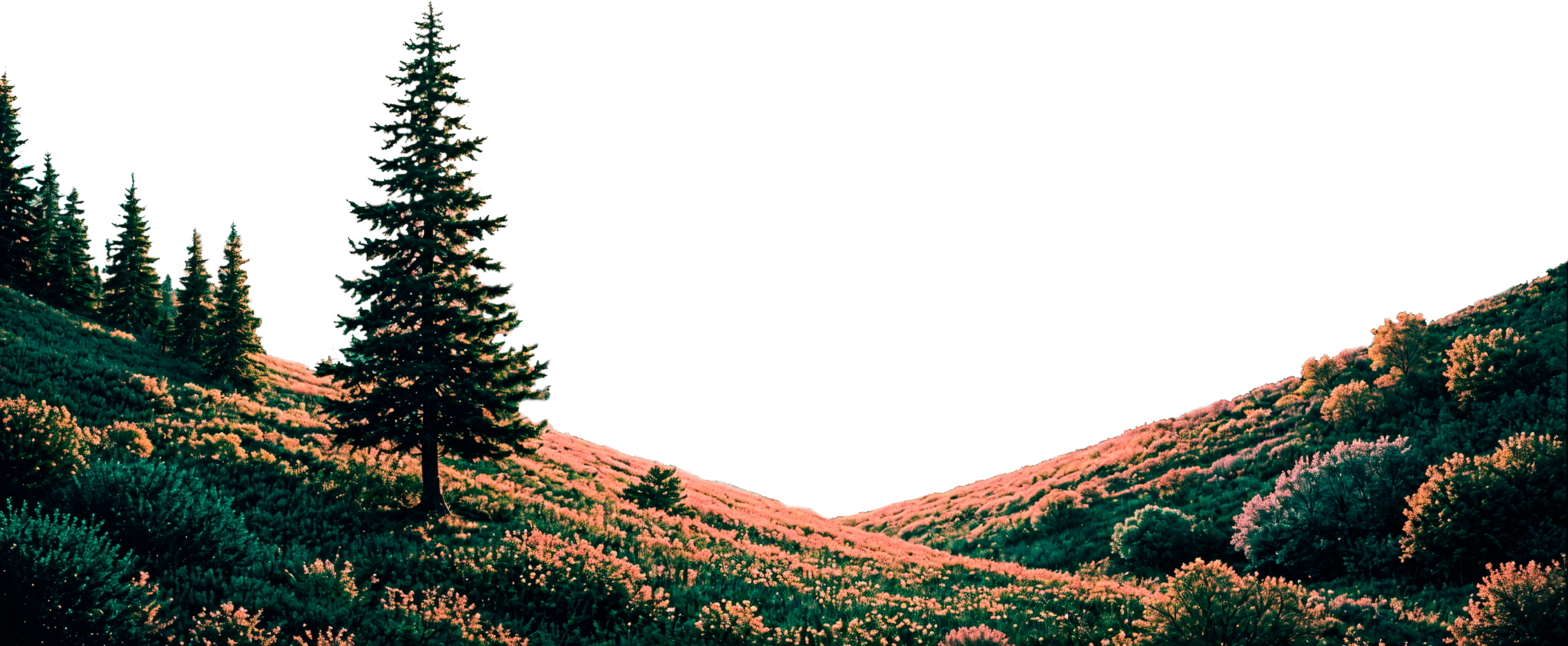 Mountain Left