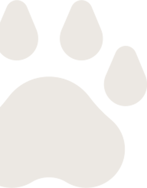 Decorative grey shape