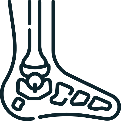 FOOT & ANKLE icon