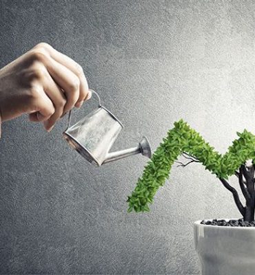 Profit growth visualization