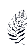 Rivaldi Leaf Logo
