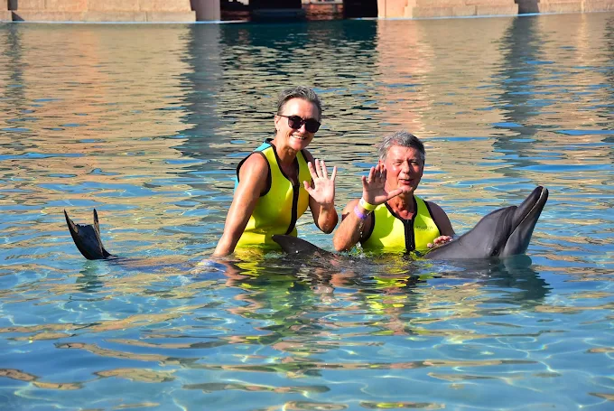 Dolphin Bay at Atlantis