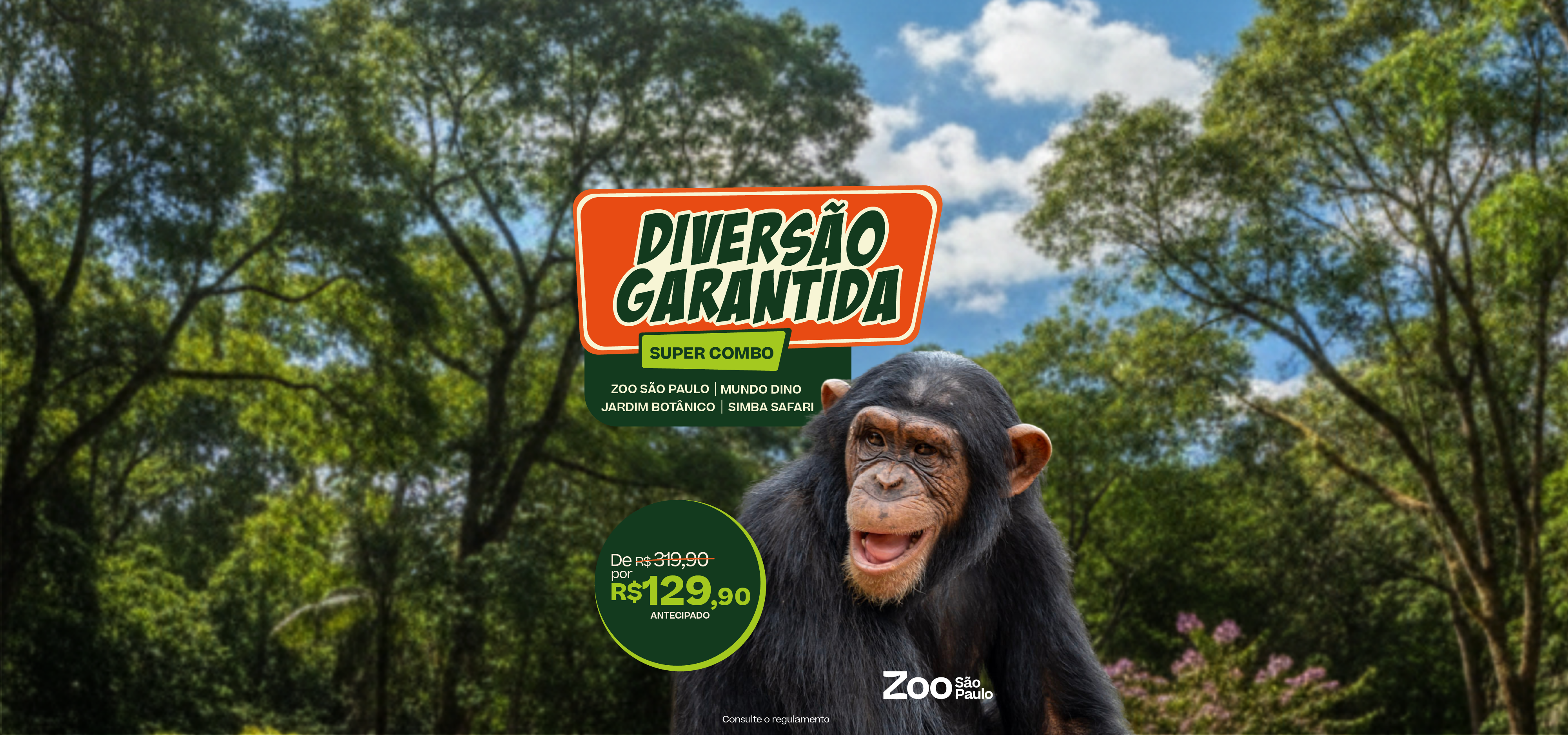 Diversão Garantida Combo Simba
