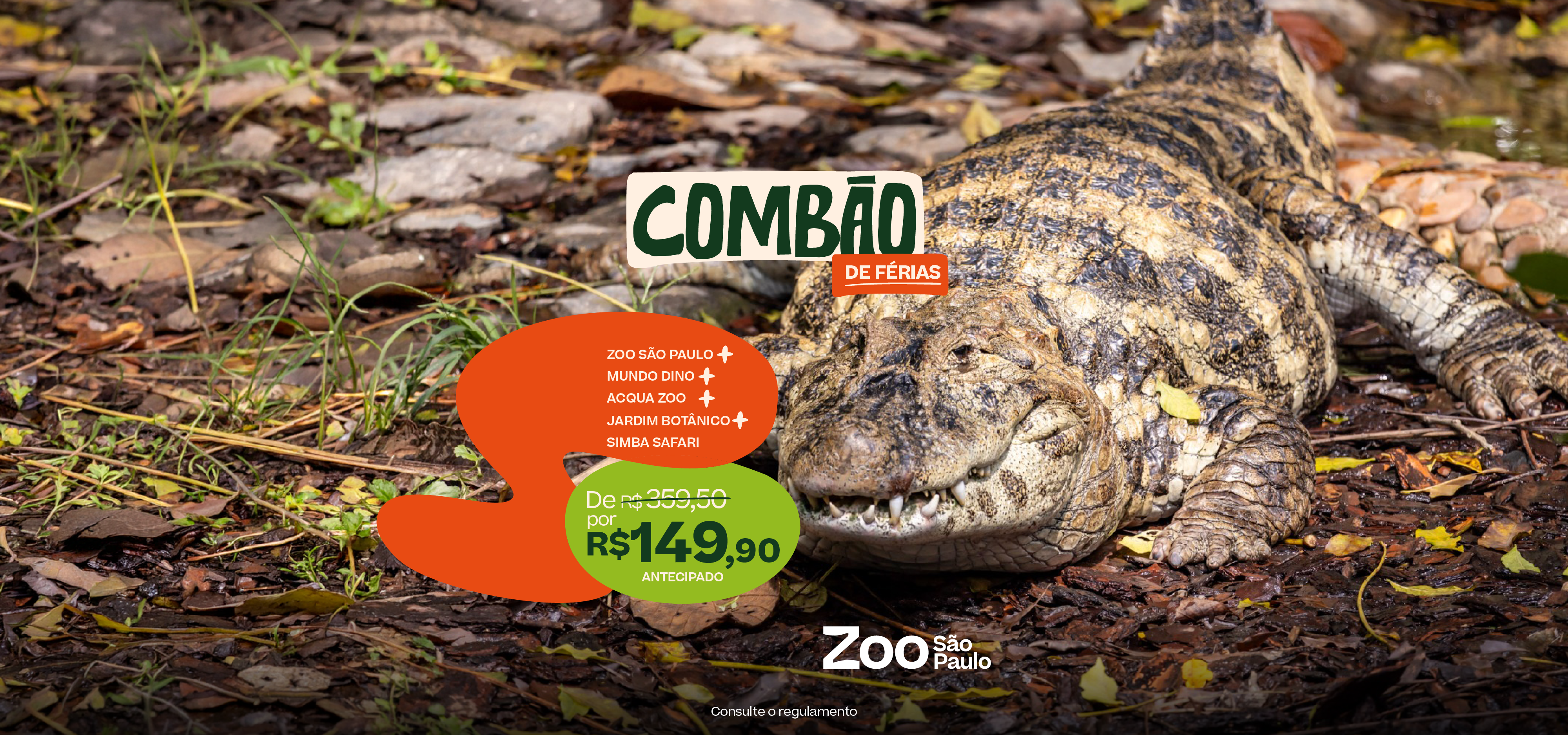 Combão de Férias Simba