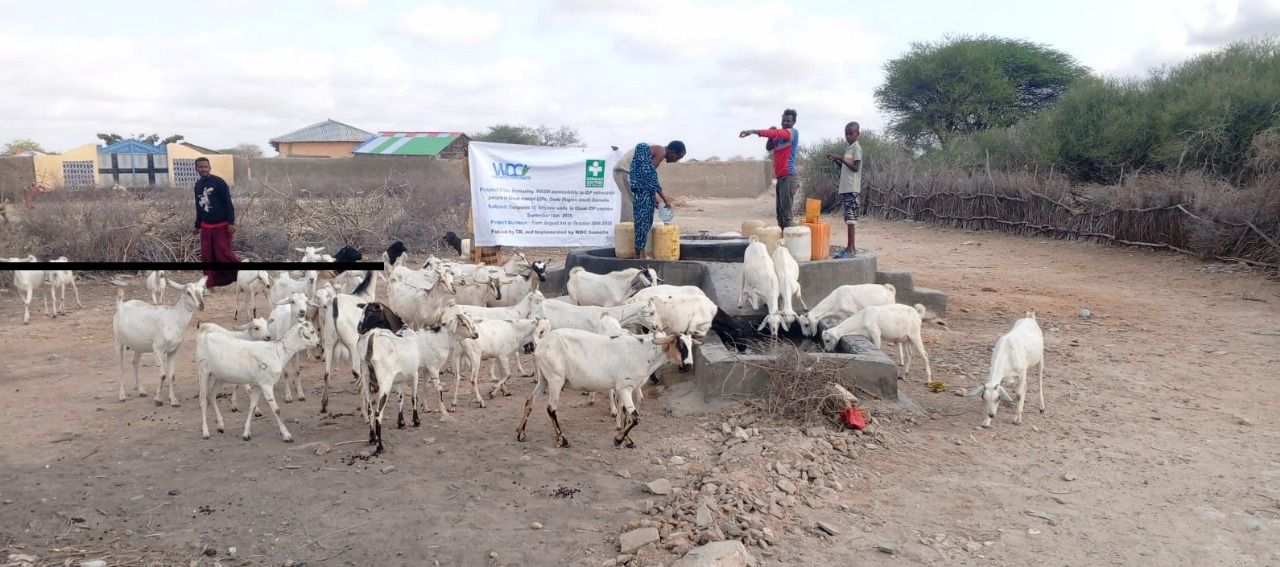 WDC Somalia aid distribution