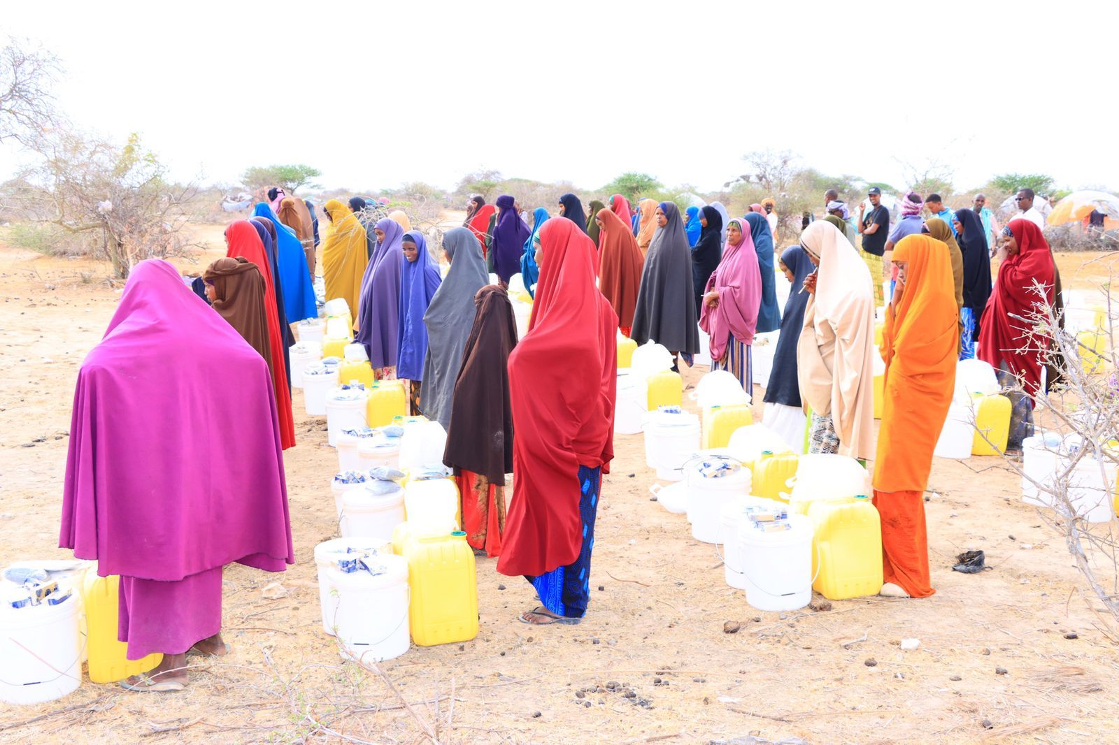 WDC Somalia humanitarian work