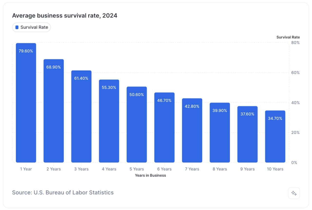 Average business survival rate chart 2024