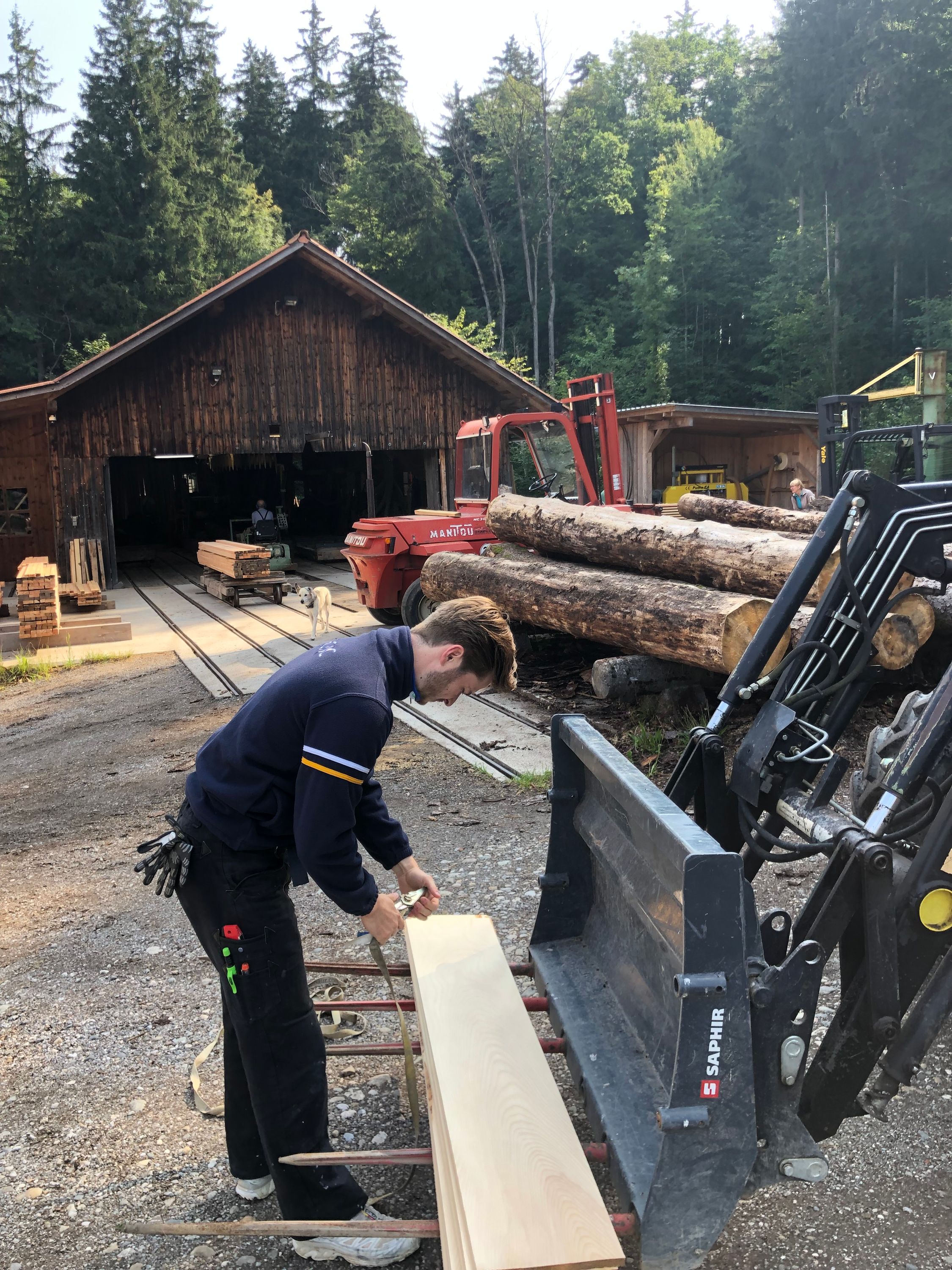 Collecting and sawing wood at the studio