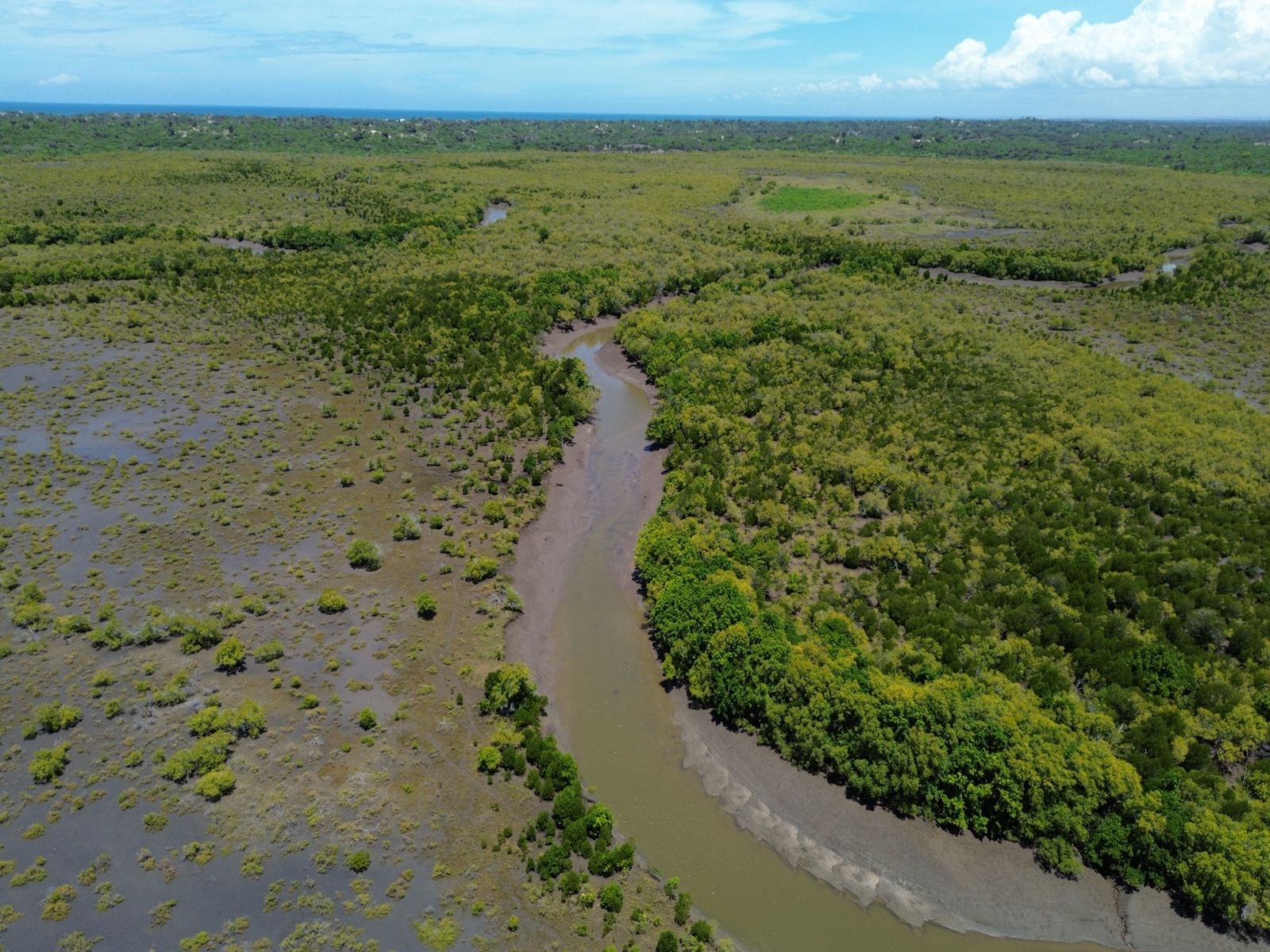 Aerial view of mangrove restoration project showing waterways and coastal ecosystem