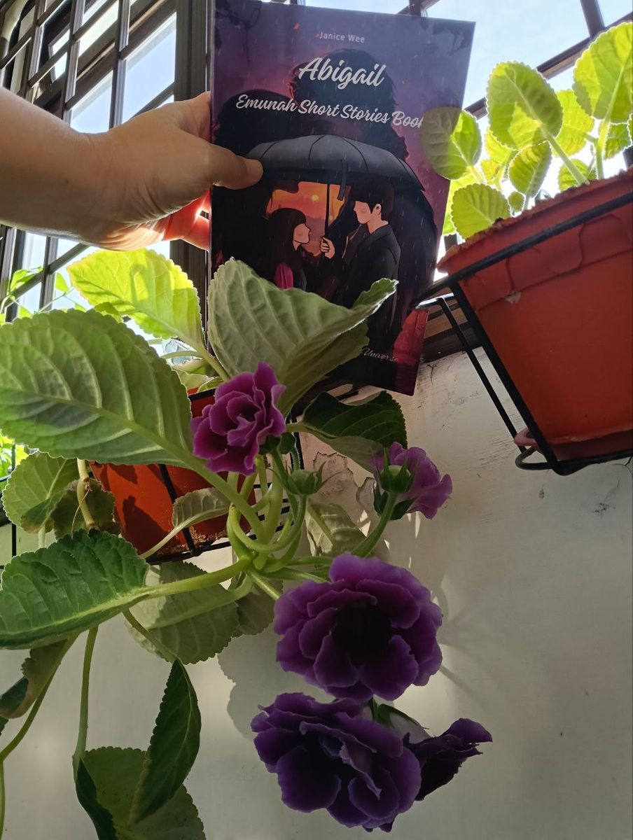 The Emunah Chronicles universe