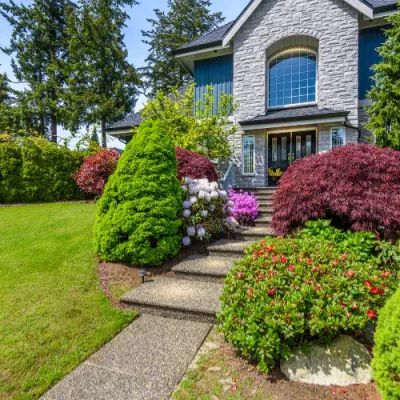 Mauvais exemple végétation