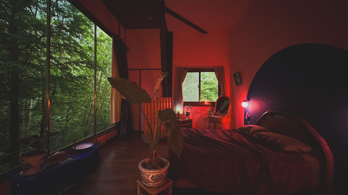 Forest journals background - WonderWood Sanctuary