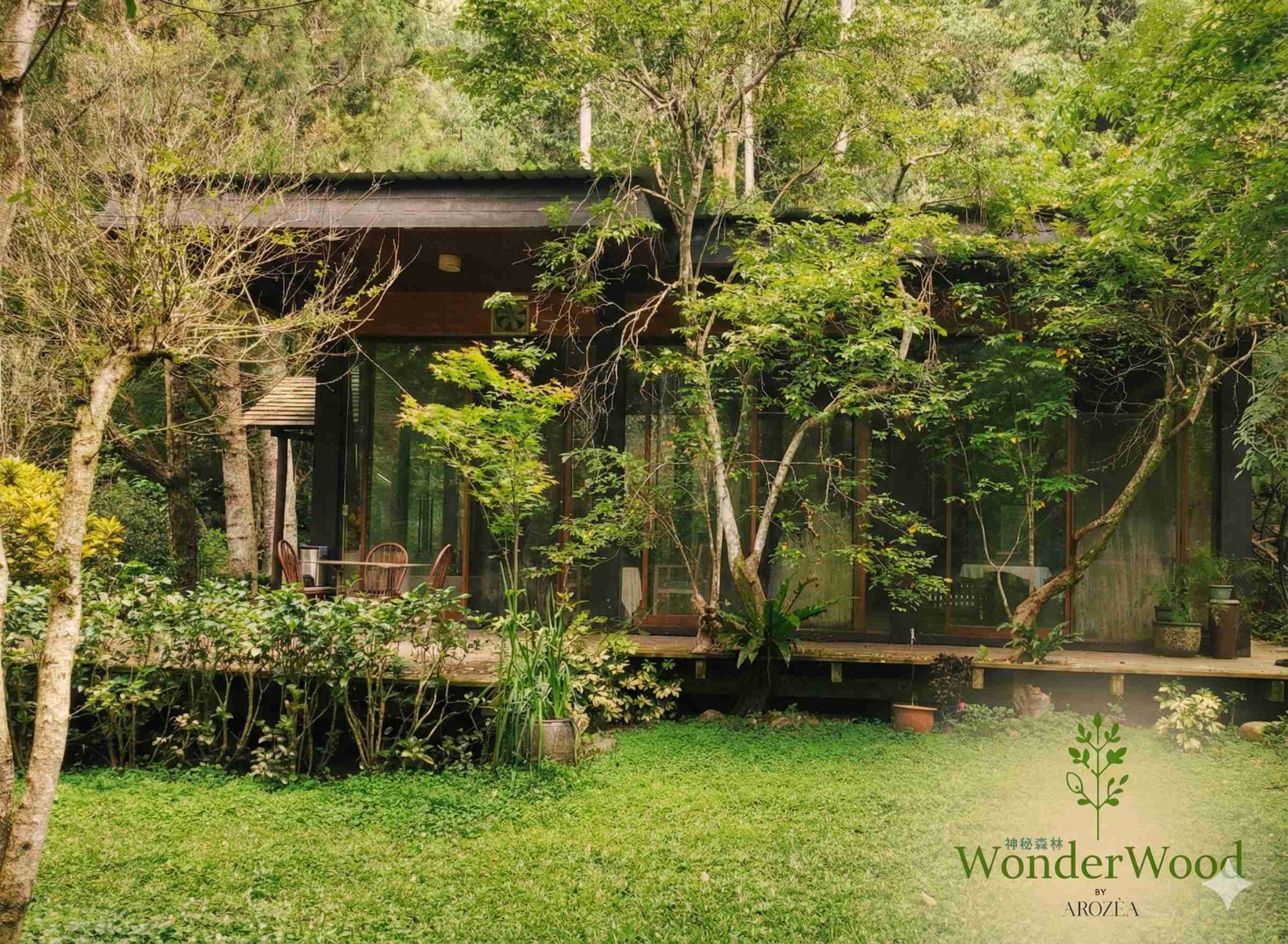 Forest Dwellings - A shelter for the soul, designed to bring you closer to the rhythm of the trees. at WonderWood Sanctuary