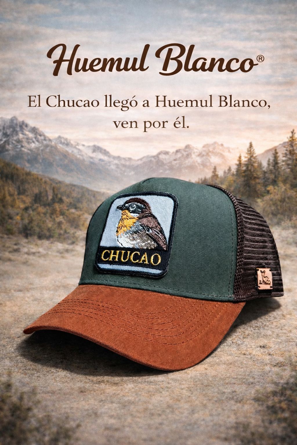 Gorras Patagonia - Chucao