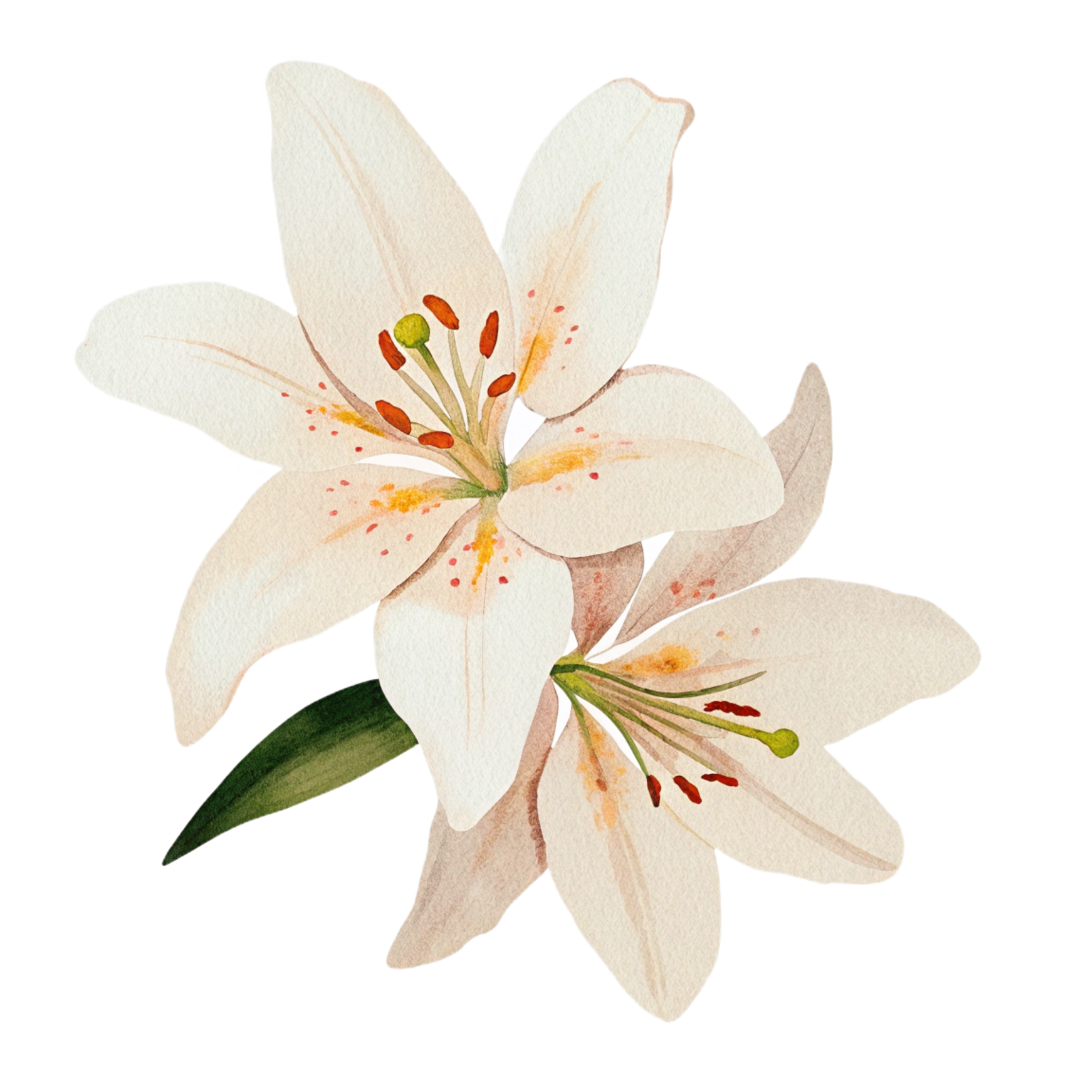 Watercolor Lilies