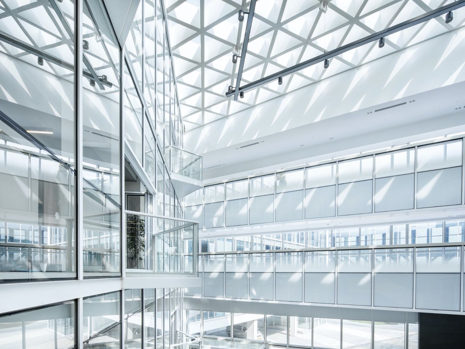 Office Atrium — Commercial Interior