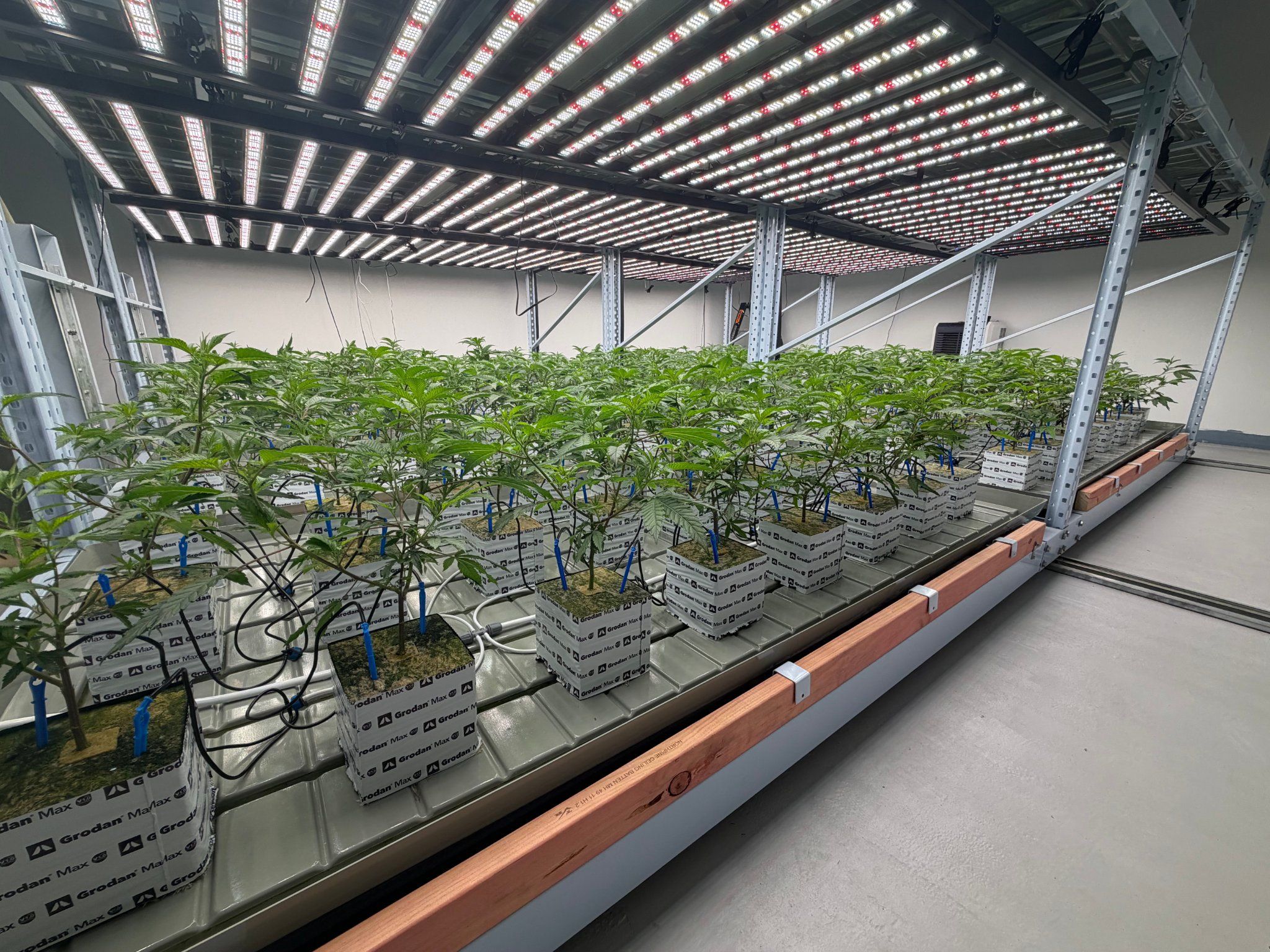 Hurrah Apex Cultivation Facility