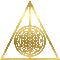 The Holistic Jedi Logo