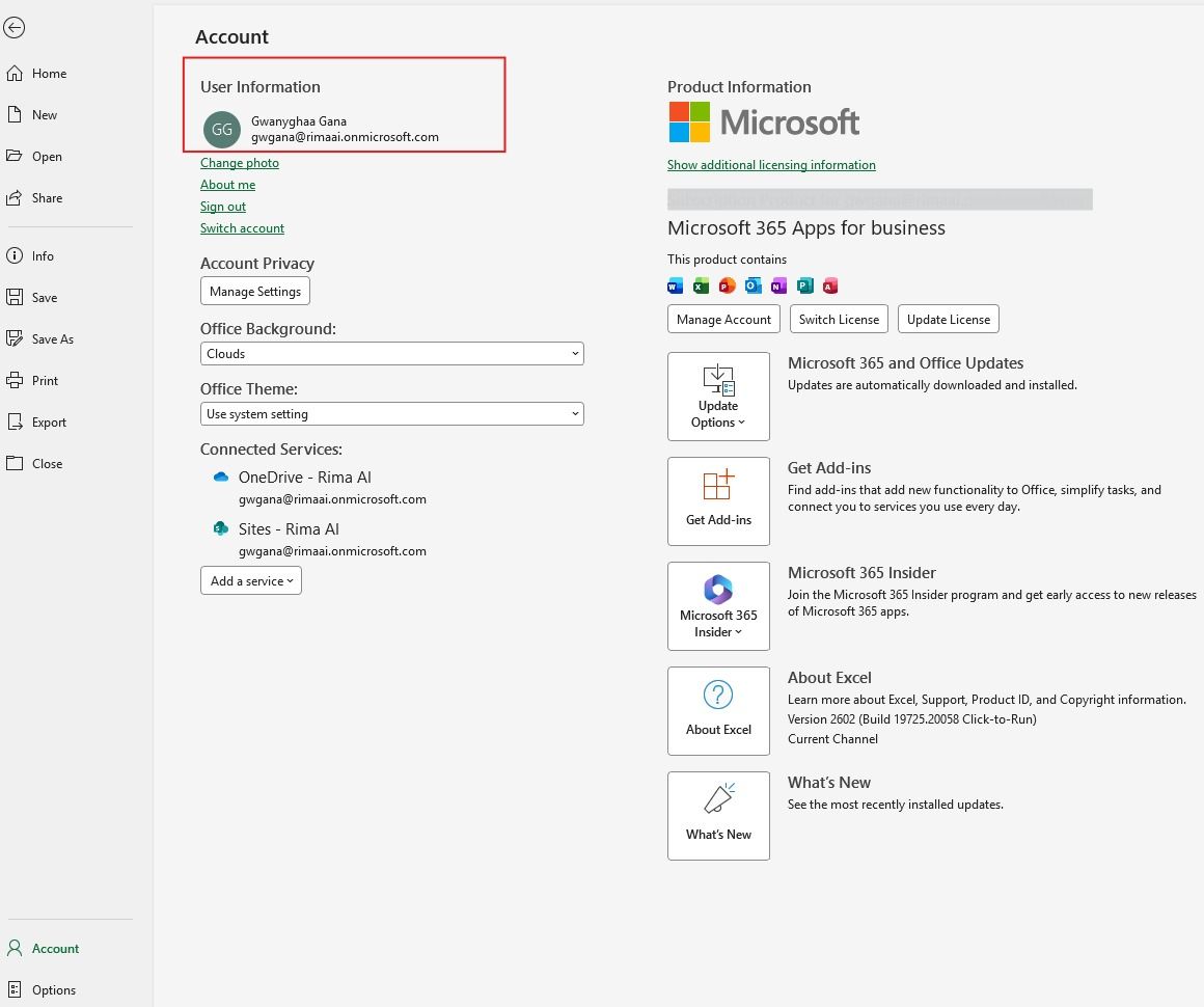 Excel Account screen showing correct account selection