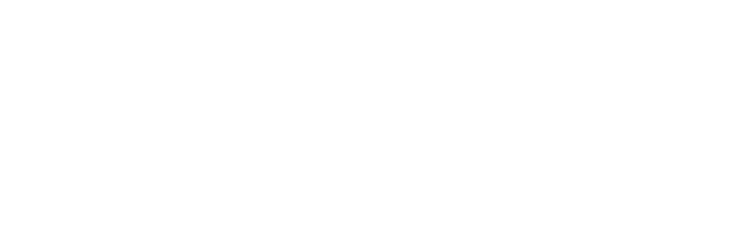 SWT Secure Web Token