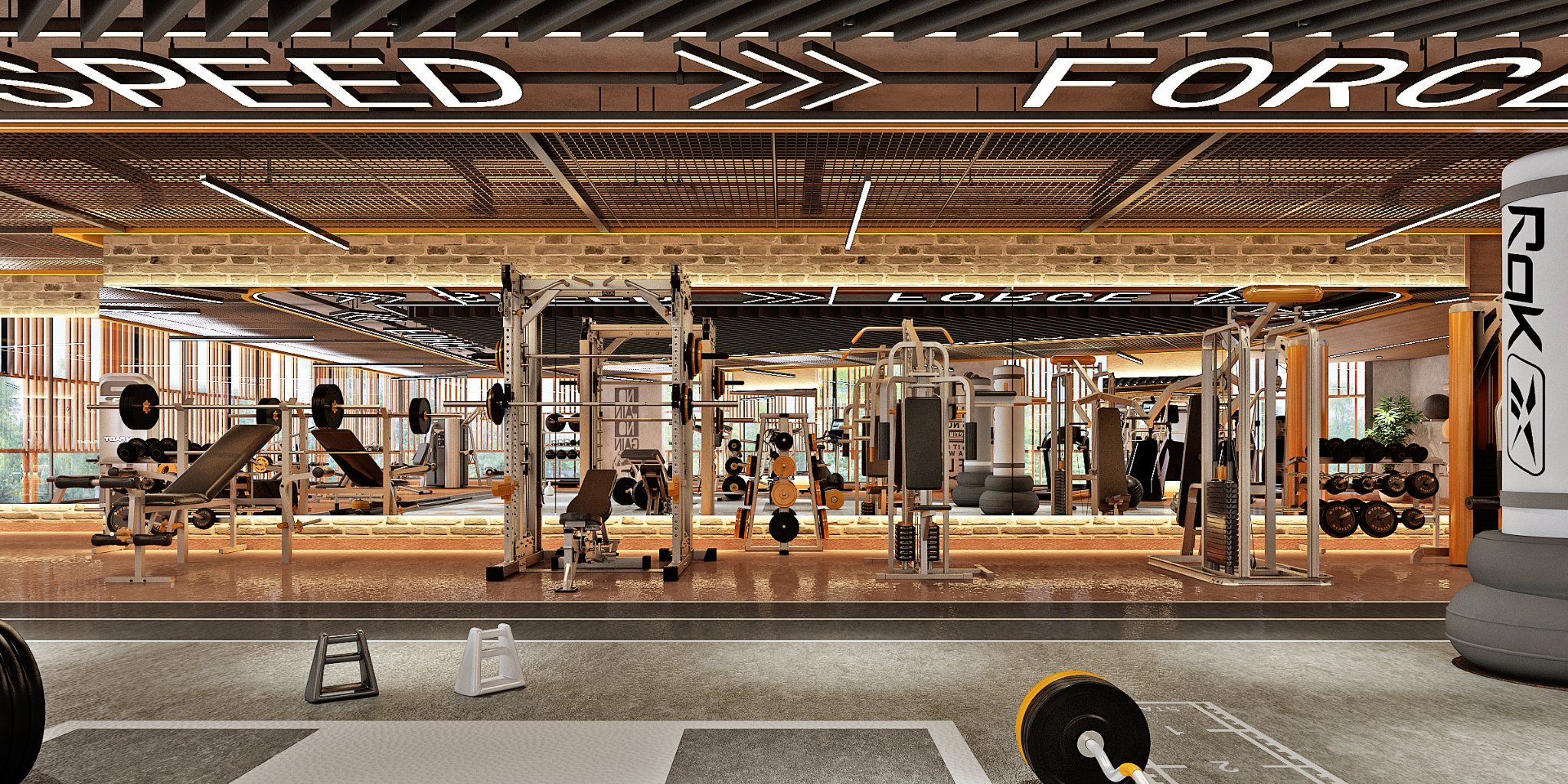 World-Class Gymnasium