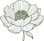 Feature Votes That Count