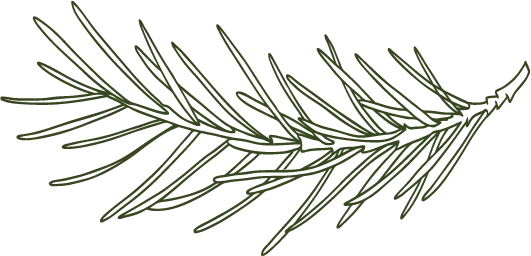 Direct Line to the Team