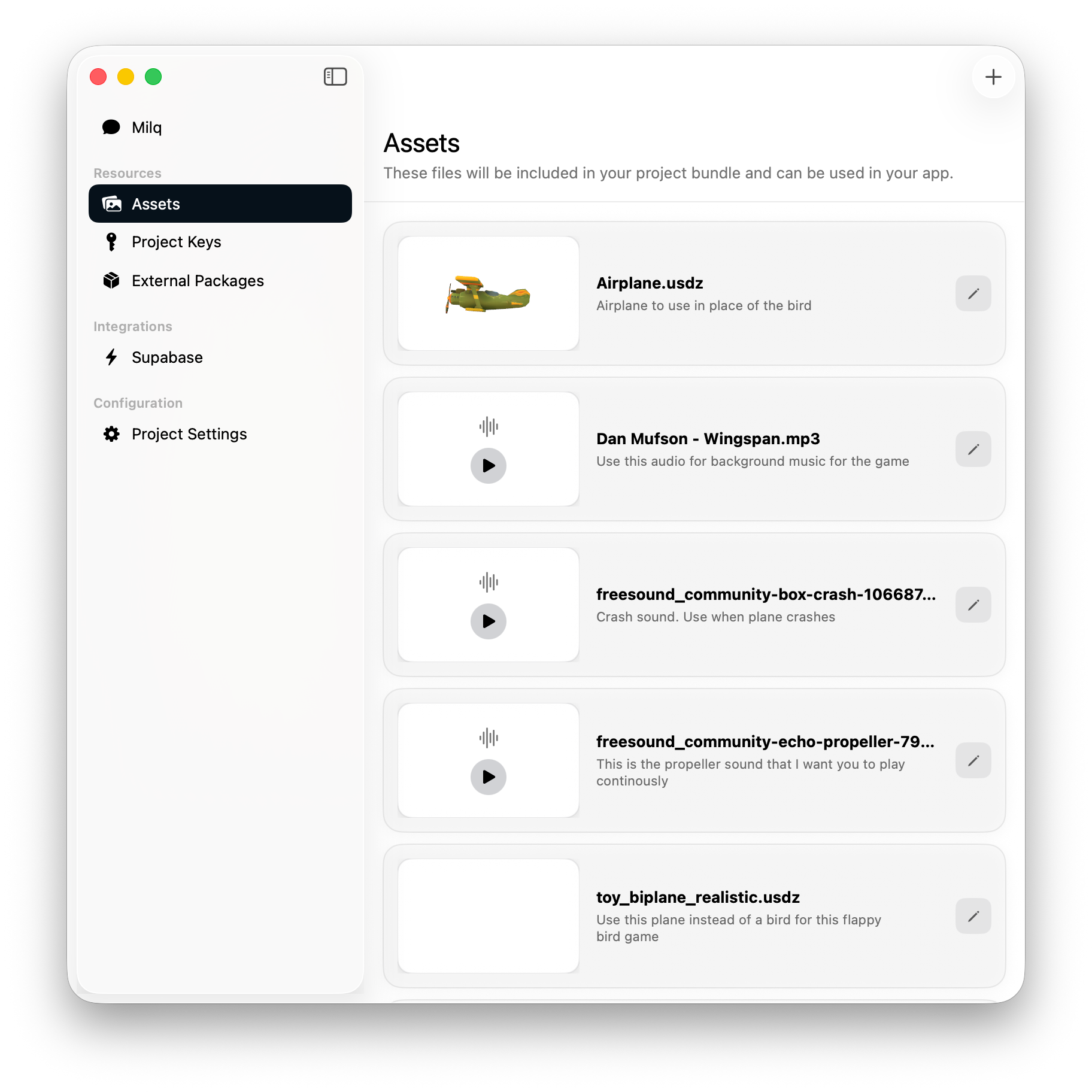 Assets Panel