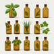 Herbs & Botanicals