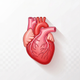 Heart Health