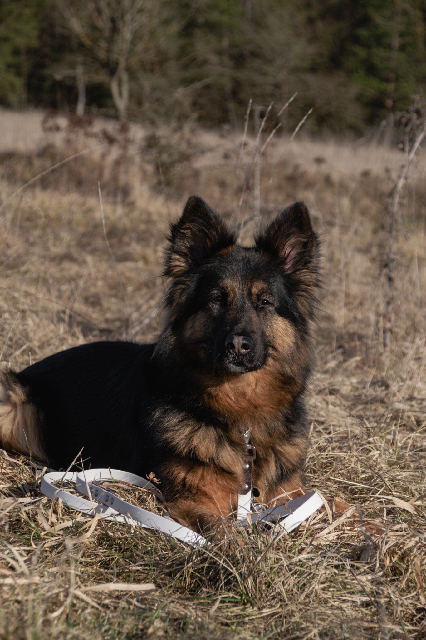 Handmade by Juliana - Hundeaccessoires Detail 1